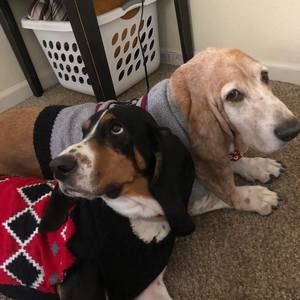 Meet your Posher, Tina